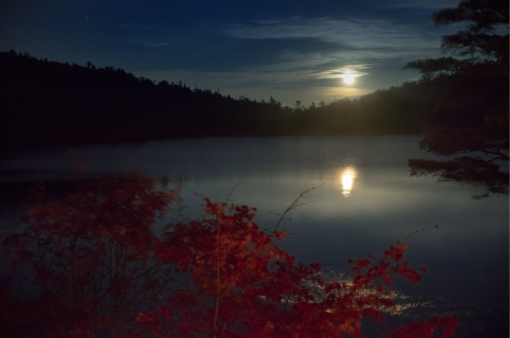 月の出～紅葉の白駒池