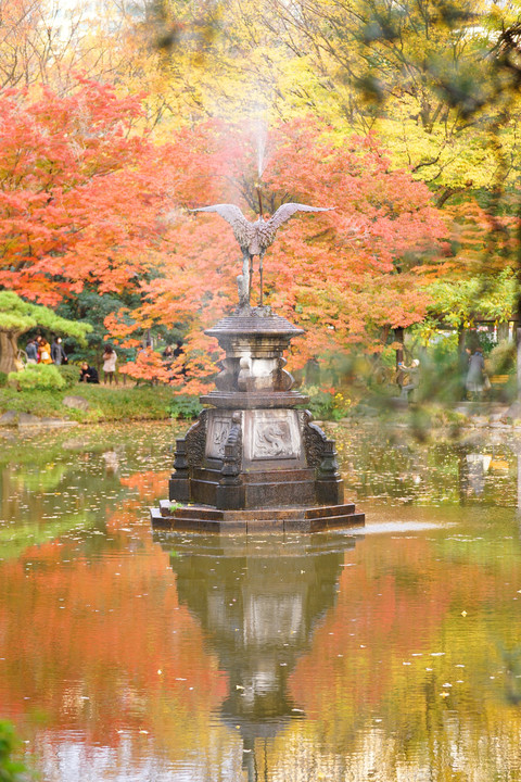 紅葉と鶴の噴水＠日比谷公園・雲形池