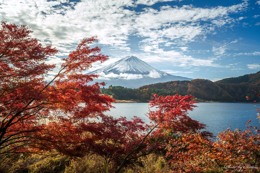 富士河口湖紅葉まつり2023