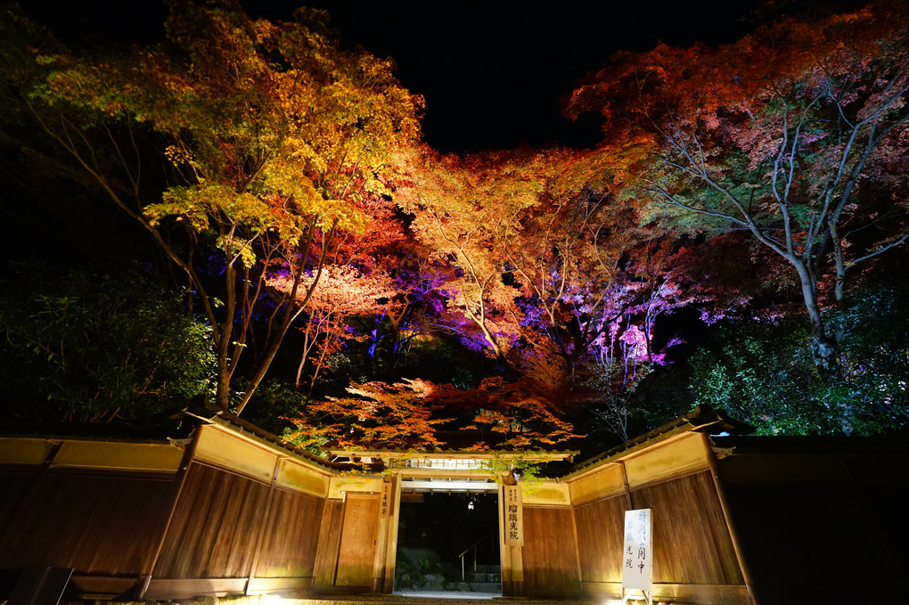 秋の夜長の瑠璃光院