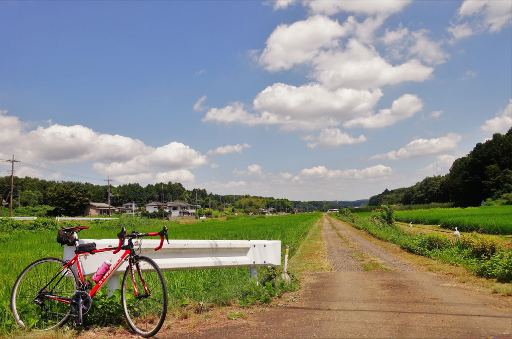 夏の空と雲と自転車