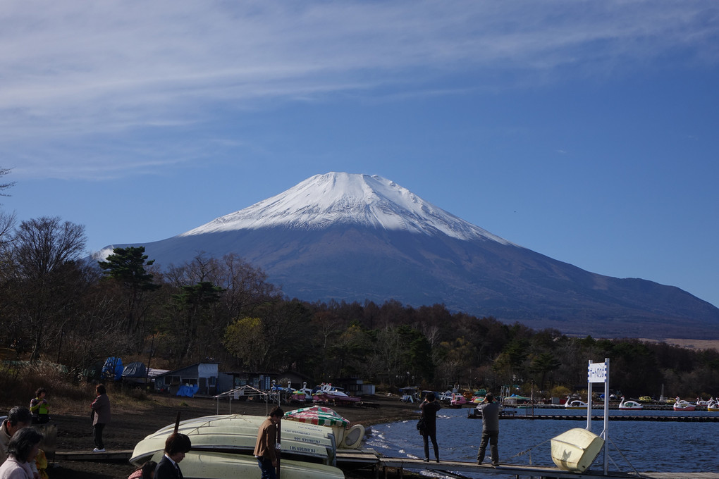 富士５湖をめぐる