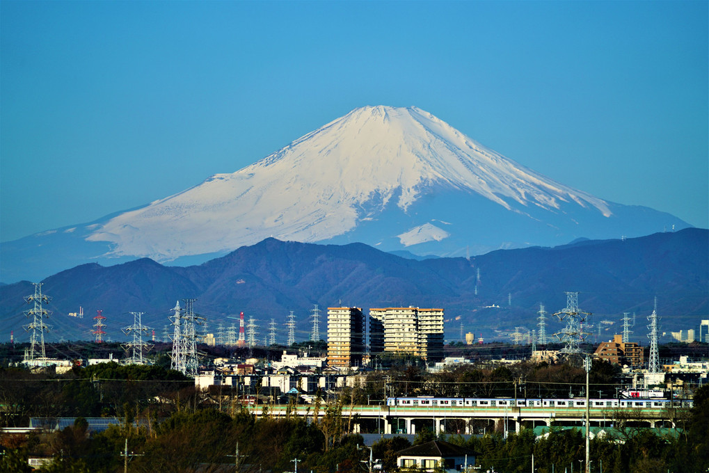 相鉄いずみ野線電車と富士山 🗻　#相模鉄道#