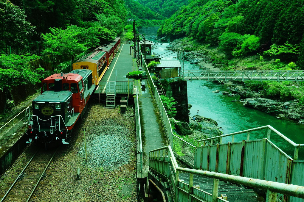 京都　保津峡で撮り鉄