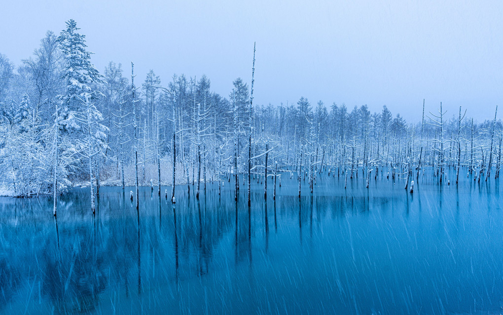 雪の青い池