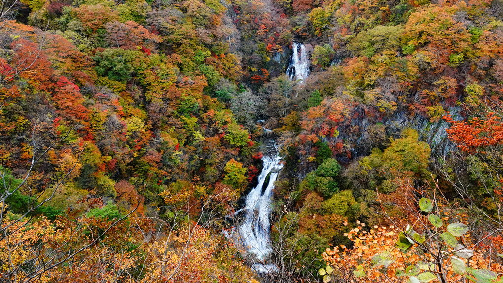 滝の秋