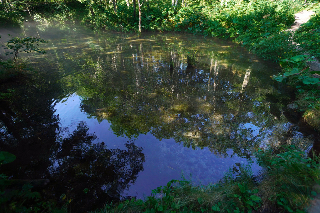 神秘的なコバルトブルーの泉 神の子池
