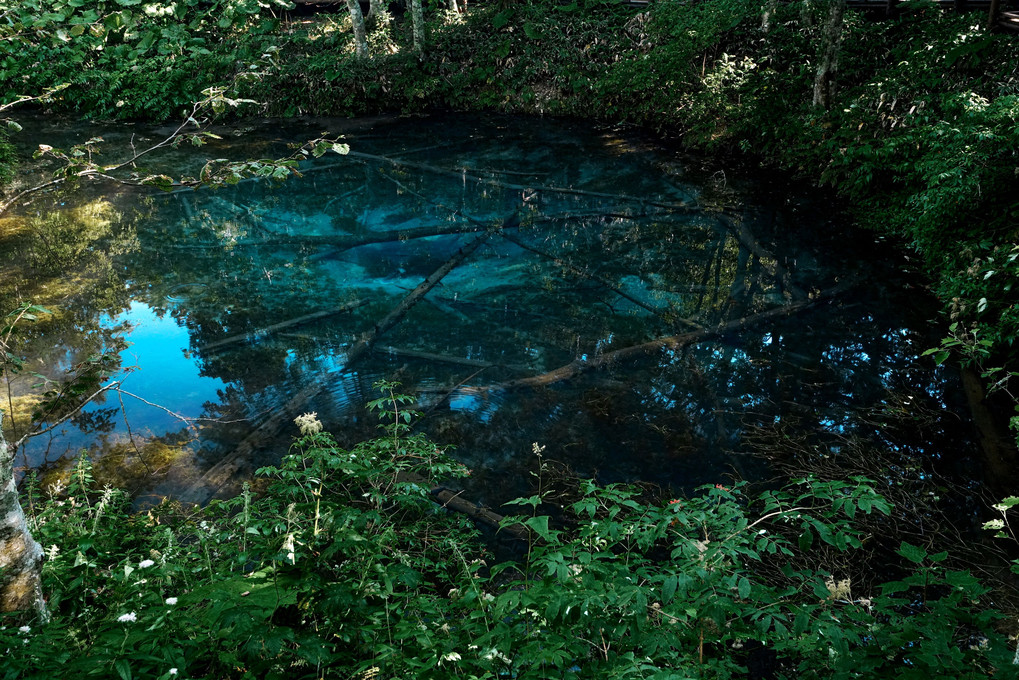 神秘的なコバルトブルーの泉 神の子池