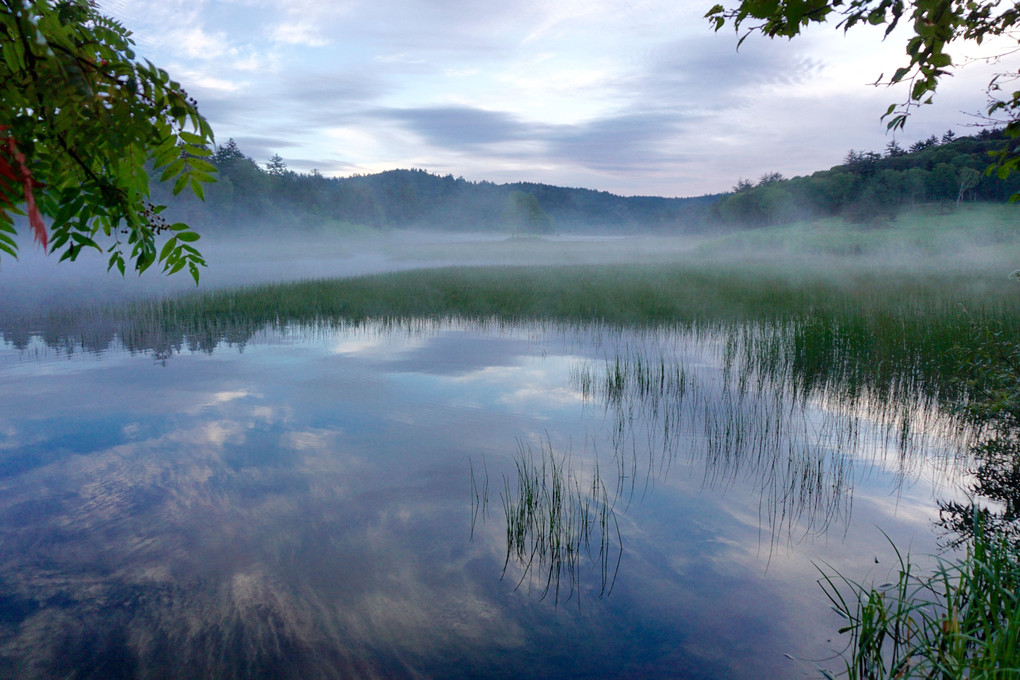 朝霧の尾瀬沼