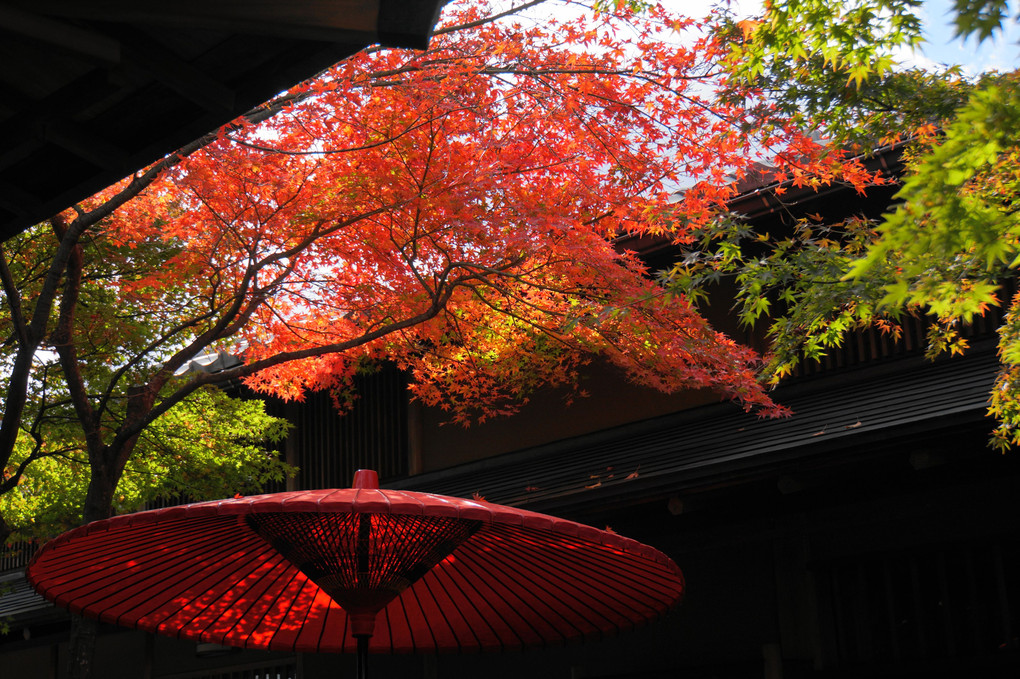 箱根美術館庭園の秋彩