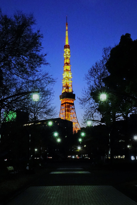 初冬の東京タワー