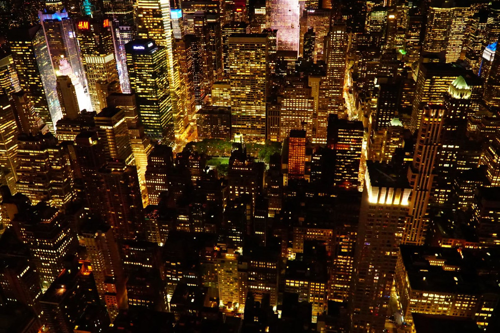 Empire State からの夜景