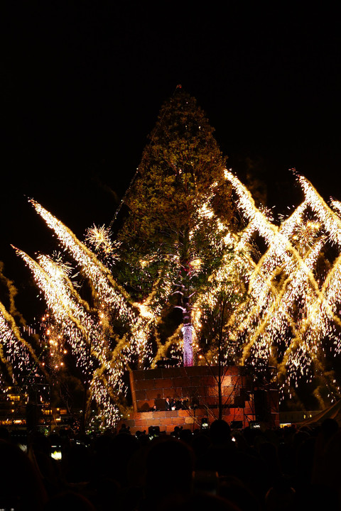 世界一のクリスマスツリー点燈式
