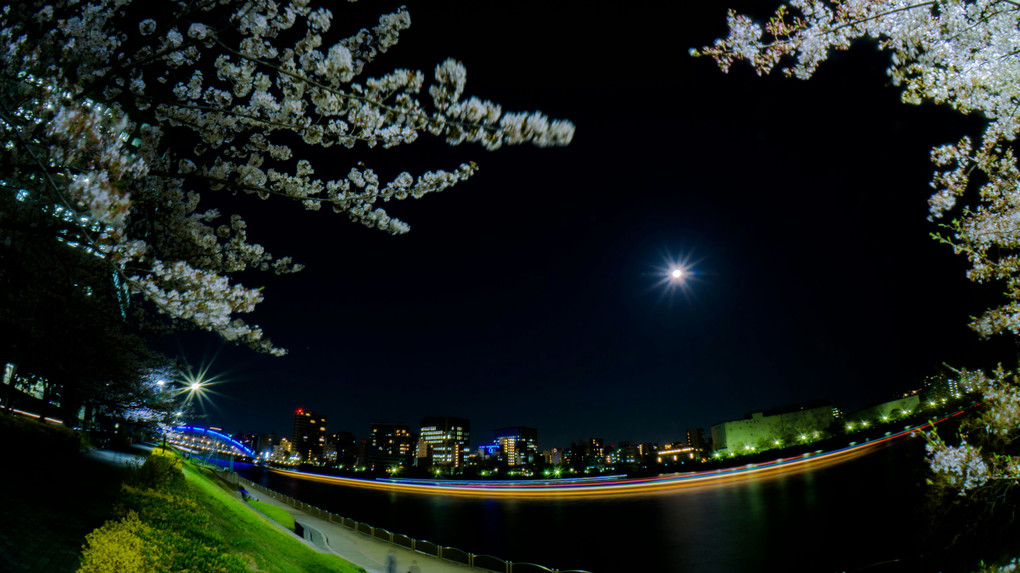 桜　光跡　そして　月