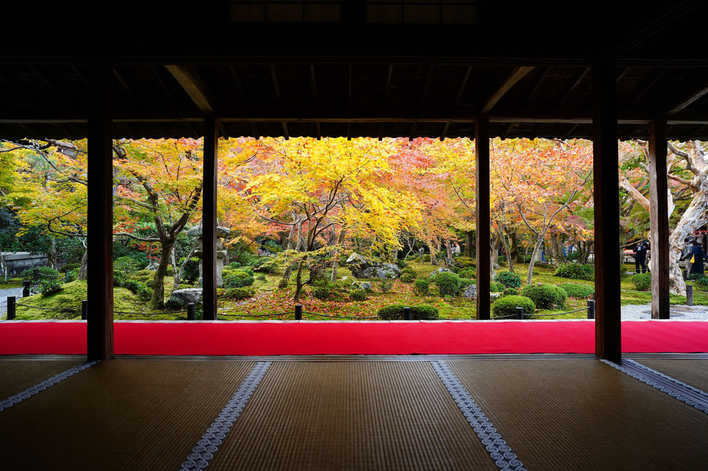 色づく古都京都