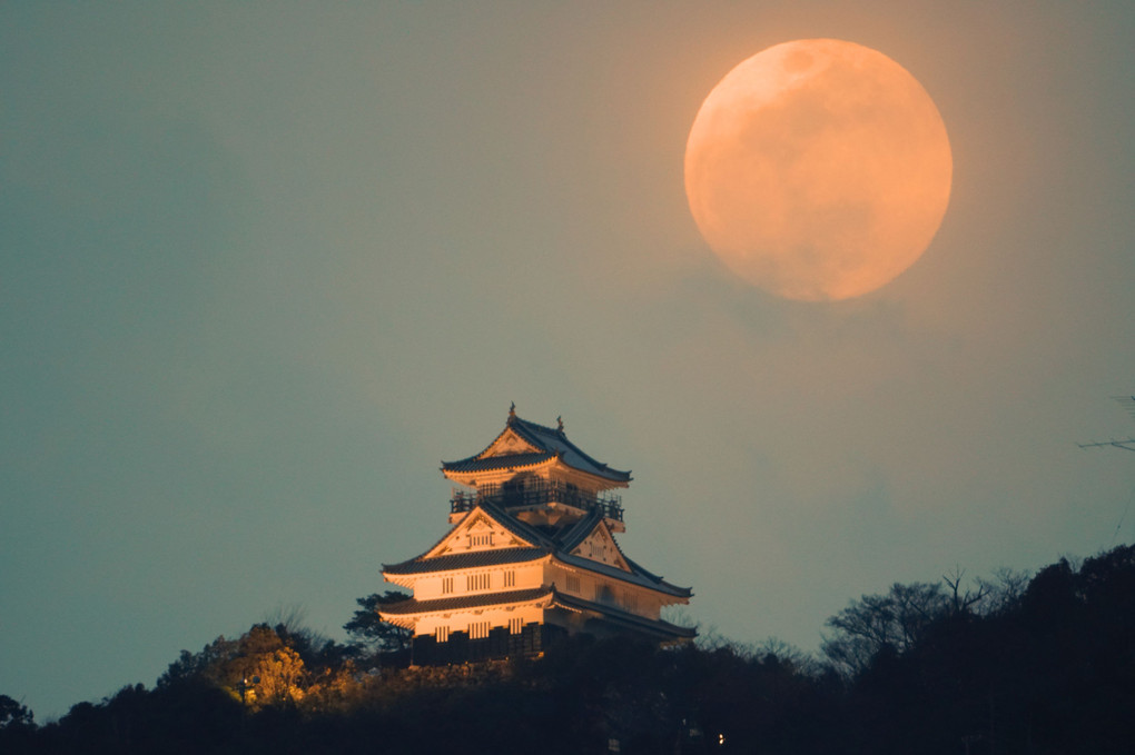 十三夜の月とライトアップされた岐阜城