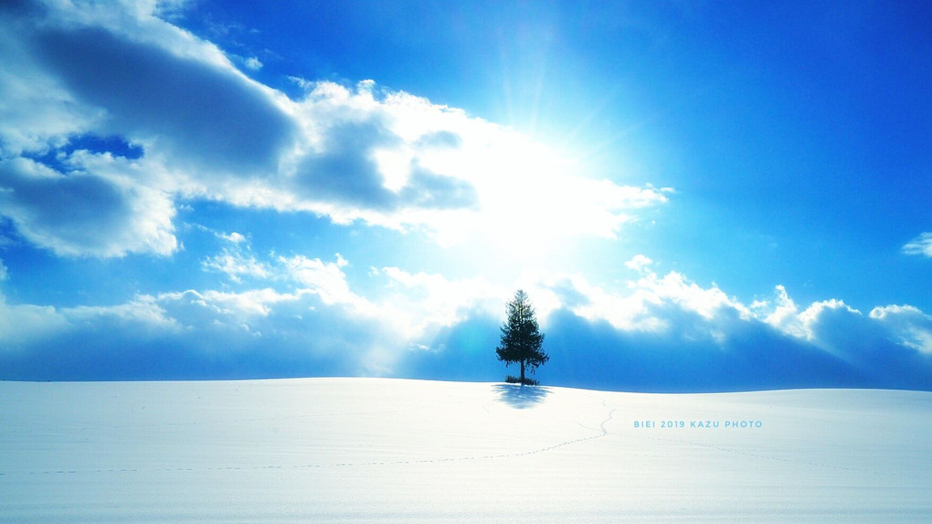 冬の青空と足跡