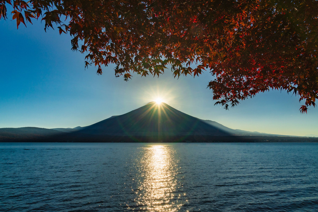 山中湖の紅葉とダイヤモンド富士