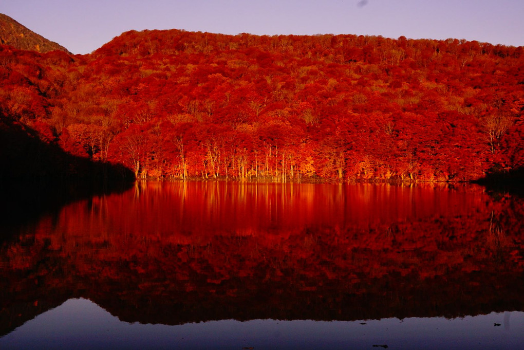 紅の瞬間～蔦沼の秋～