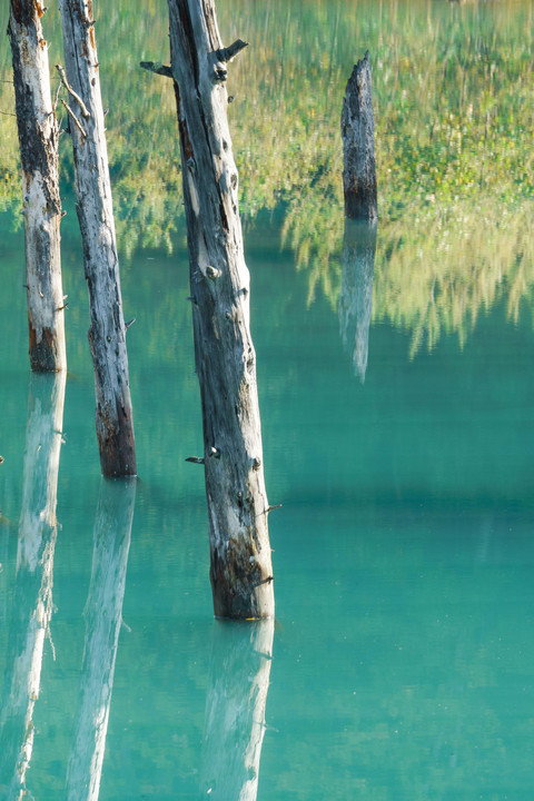 秋の青い池～美しい映り込み～