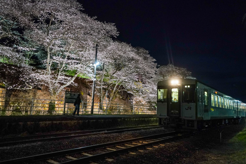 夜桜 舞木駅