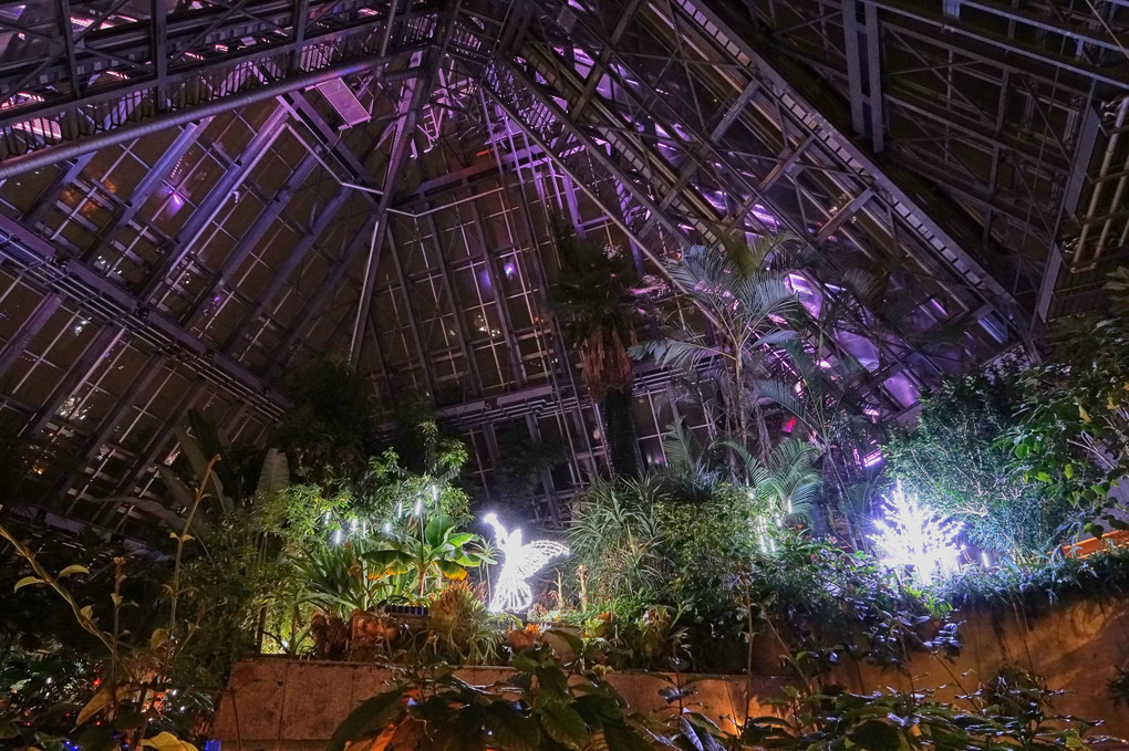 Greenhouse at night