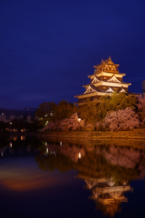 広島城～夜桜