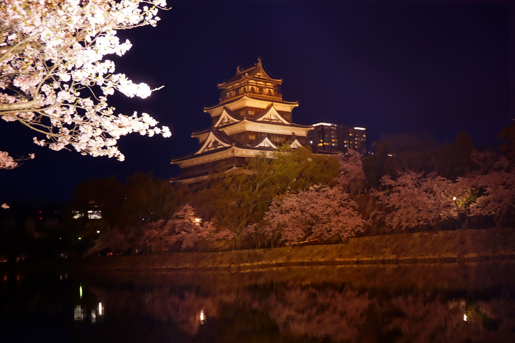 広島城～夜桜