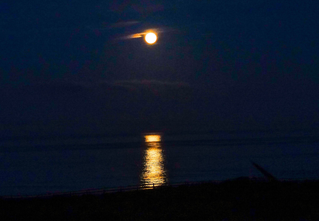 夜明け前の海面に反射する一筋の月明かり