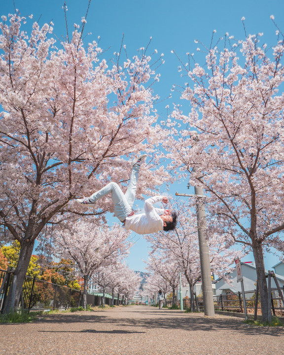Cherry Blossom -Tricking Self Portrait-