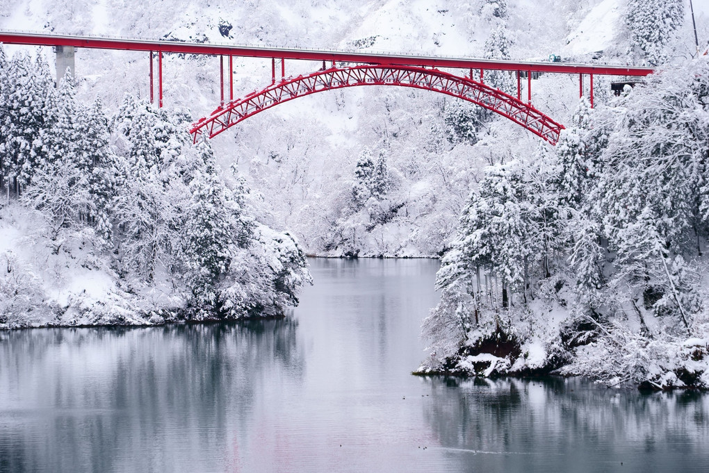 白い庄川峡と赤い橋
