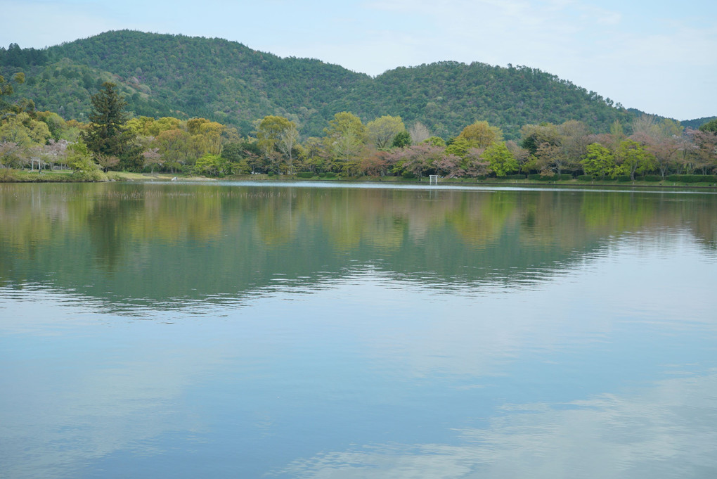 大覚寺と大沢の池