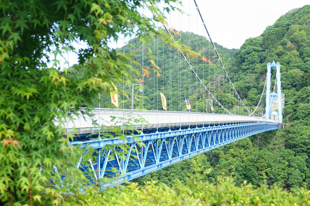 竜神大吊り橋