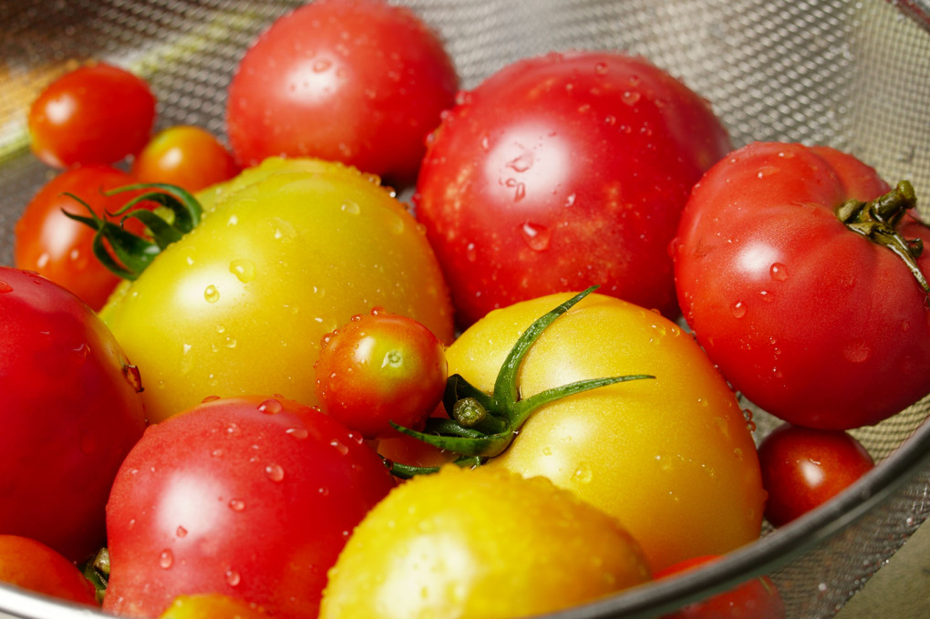 朝採り無農薬トマト