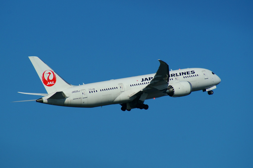 Boeing 787-846, JA835J, Japan Airlines