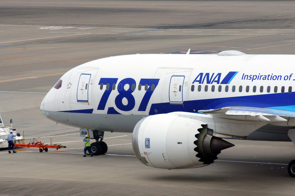 Boeing 787-881 "Dreamliner", ANA