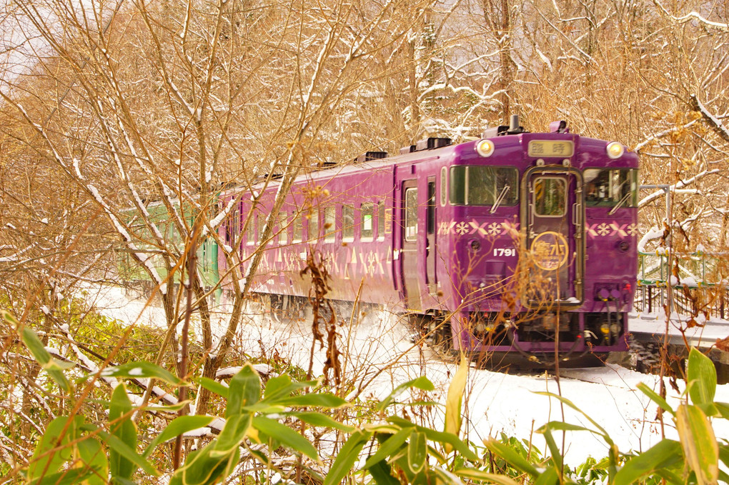 北海道 特別列車の旅