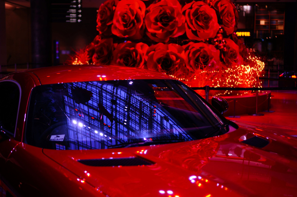 薔薇と車