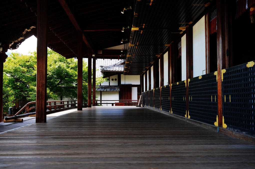 初秋の京都散策 大覚寺