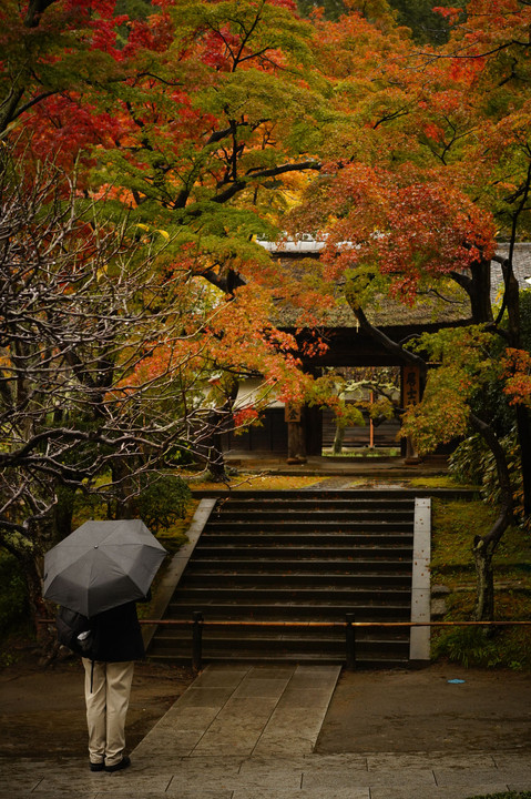 雨の鎌倉散策