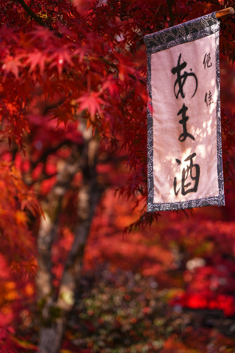 京の紅葉三景