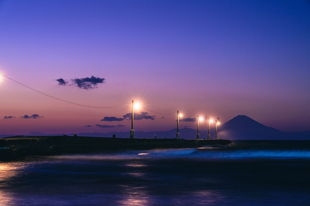 強風の桟橋からのぞむ富士