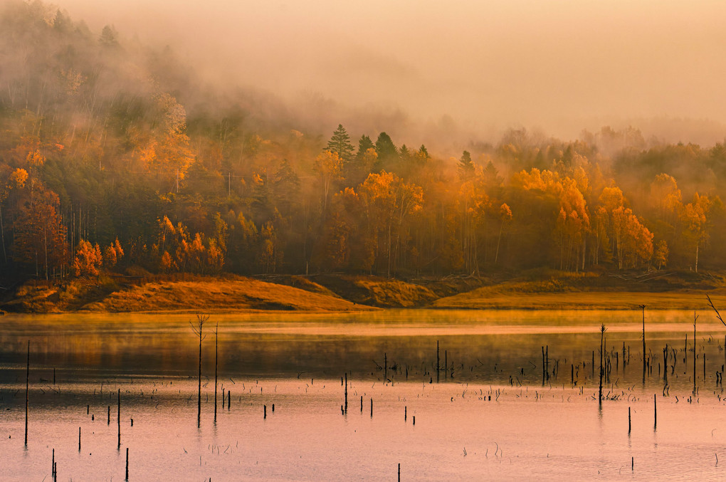 霧　湖畔の秋