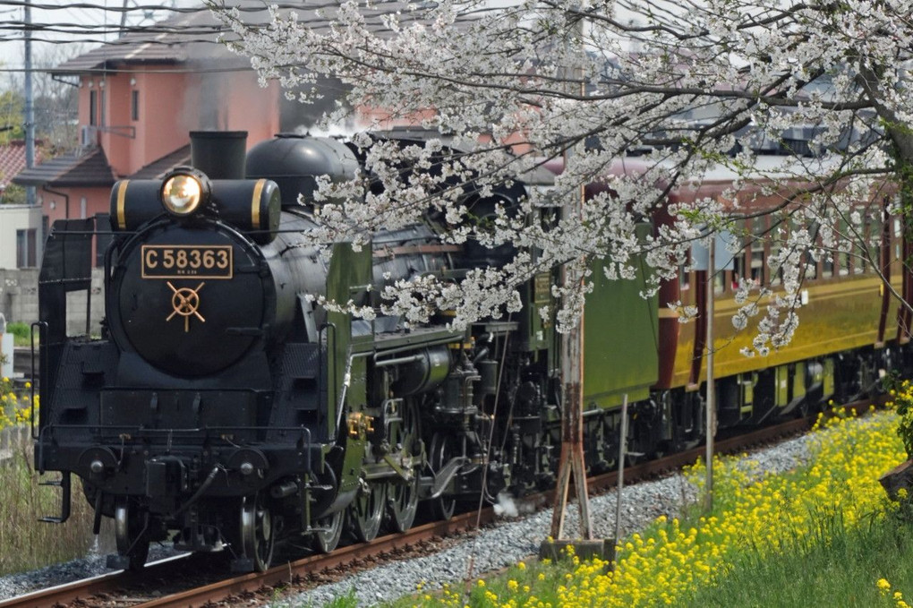 春色のローカル鉄道