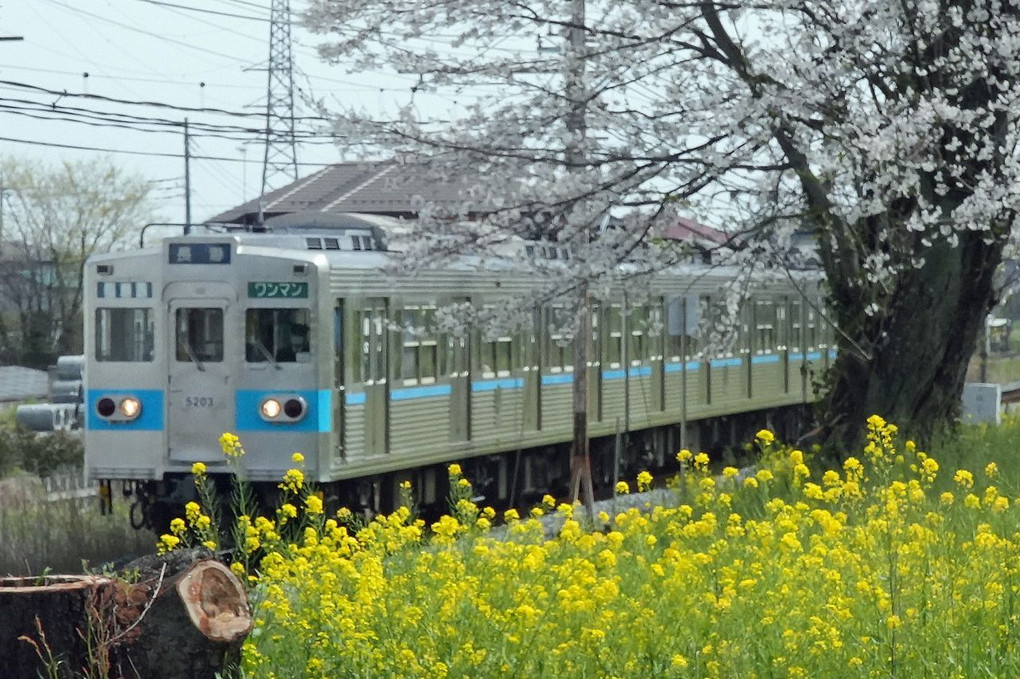 春色のローカル鉄道