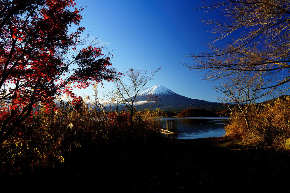 富士山！何て美しいのでしょうか！