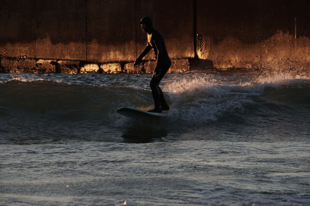 大磯北浜海岸から昇る朝日の反射を背にサーフィン。