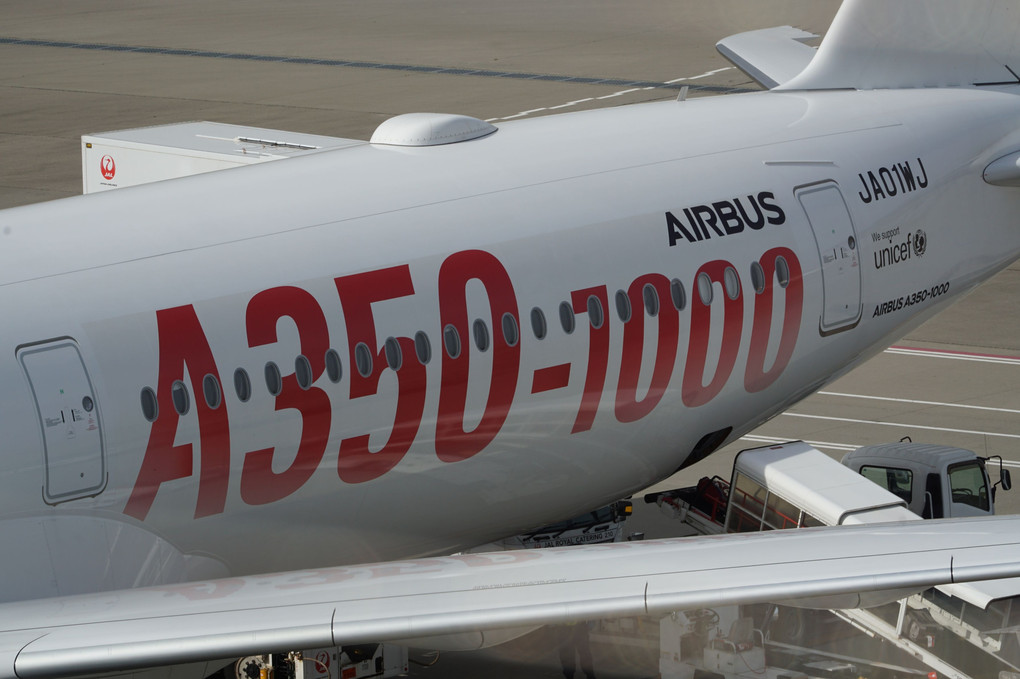 A350-1000　ペイントが美しい