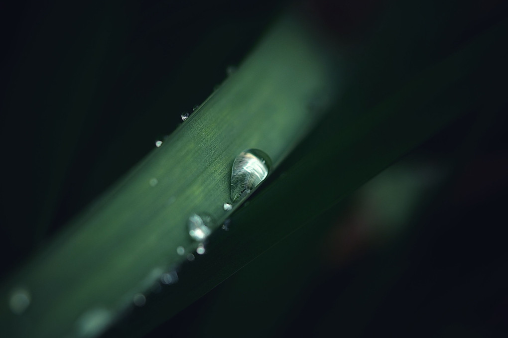 雨雫の宝石