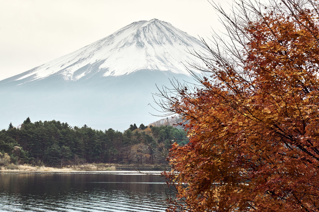 富士と湖
